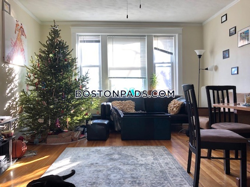 BOSTON - ALLSTON/BRIGHTON BORDER - 1 Bed, 1 Bath - Image 2