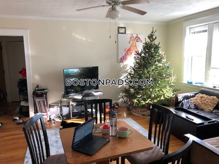 BOSTON - ALLSTON/BRIGHTON BORDER - 1 Bed, 1 Bath - Image 7