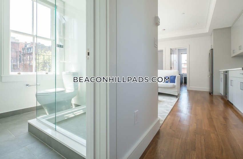 BOSTON - BEACON HILL - 2 Beds, 1 Bath - Image 8