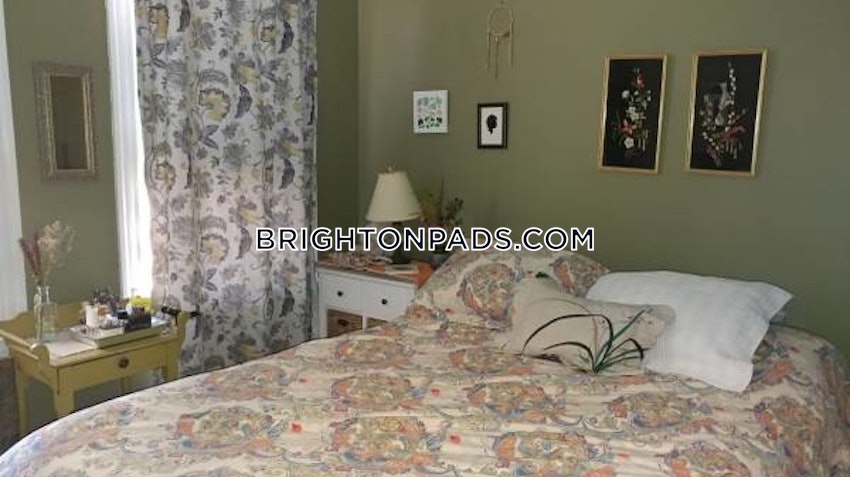 BOSTON - BRIGHTON - BOSTON COLLEGE - 1 Bed, 1 Bath - Image 14