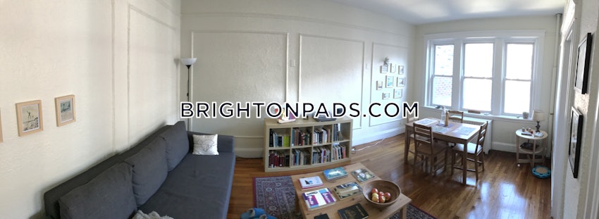 BOSTON - BRIGHTON - CLEVELAND CIRCLE - 1 Bed, 1 Bath - Image 8