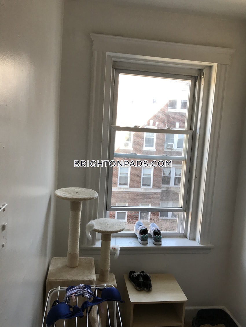 BOSTON - BRIGHTON - CLEVELAND CIRCLE - 1 Bed, 1 Bath - Image 6