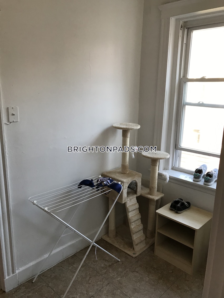 BOSTON - BRIGHTON - CLEVELAND CIRCLE - 1 Bed, 1 Bath - Image 5