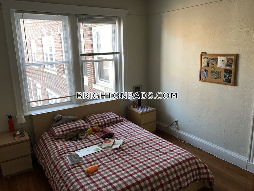 BOSTON - BRIGHTON - CLEVELAND CIRCLE - 1 Bed, 1 Bath - Image 3