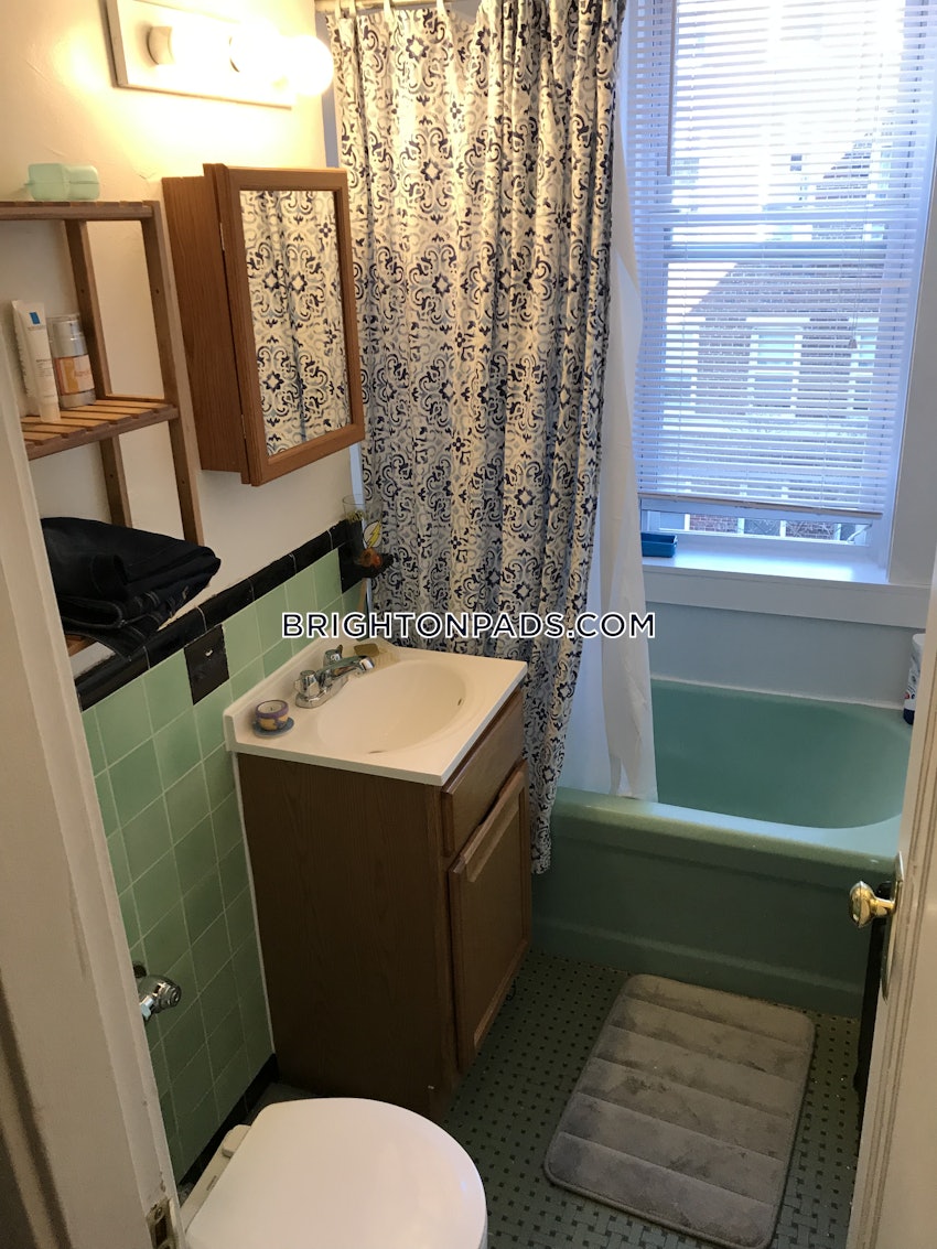 BOSTON - BRIGHTON - CLEVELAND CIRCLE - 1 Bed, 1 Bath - Image 11