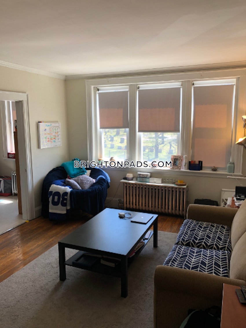 BOSTON - BRIGHTON - BOSTON COLLEGE - 1 Bed, 1 Bath - Image 3