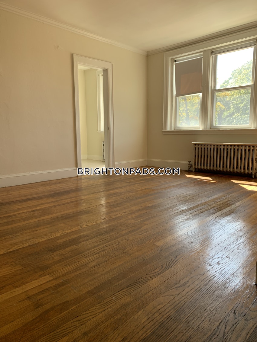 BOSTON - BRIGHTON - BOSTON COLLEGE - 1 Bed, 1 Bath - Image 14