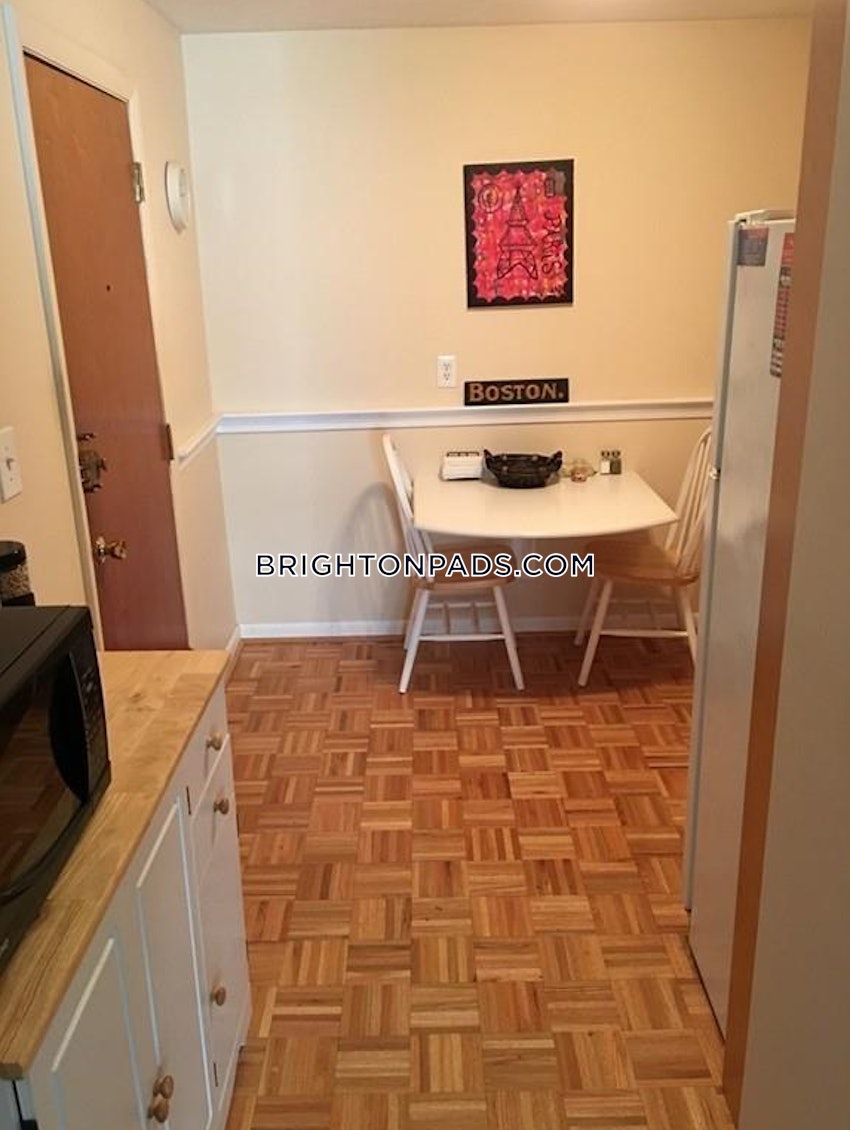 BOSTON - BRIGHTON - BRIGHTON CENTER - 1 Bed, 1 Bath - Image 9