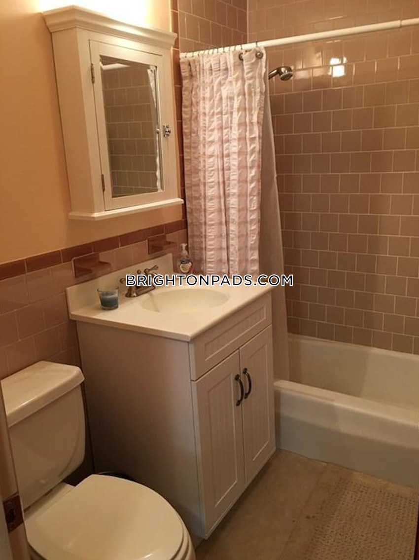 BOSTON - BRIGHTON - BRIGHTON CENTER - 1 Bed, 1 Bath - Image 10