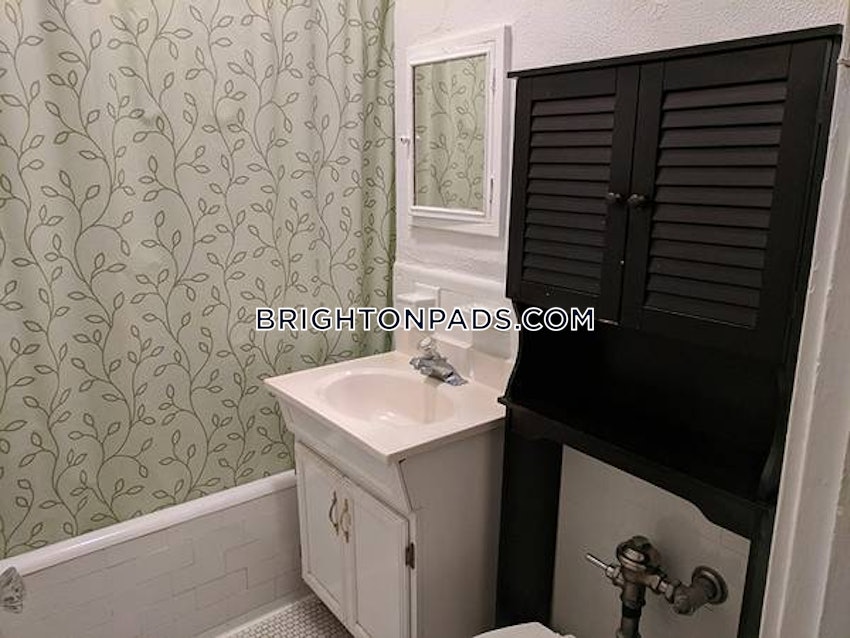 BOSTON - BRIGHTON - CLEVELAND CIRCLE - 1 Bed, 1 Bath - Image 3