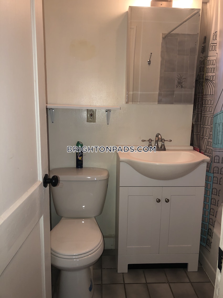 BOSTON - BRIGHTON- WASHINGTON ST./ ALLSTON ST. - 1 Bed, 1 Bath - Image 18