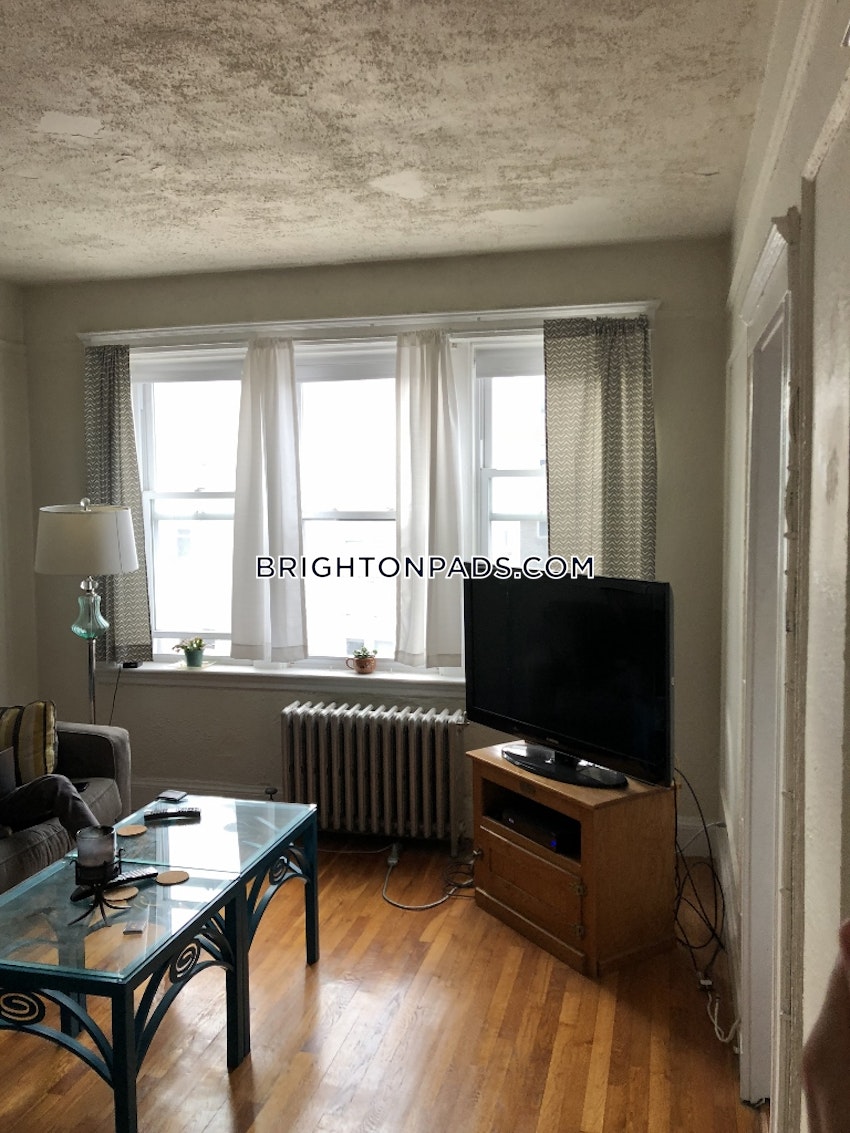 BOSTON - BRIGHTON - CLEVELAND CIRCLE - 2 Beds, 1 Bath - Image 7