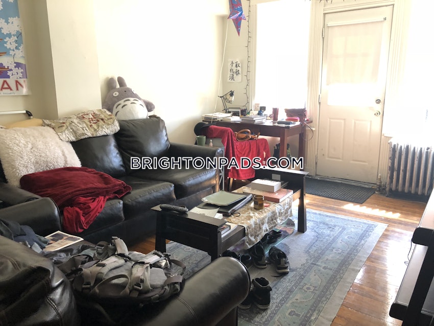 BOSTON - BRIGHTON - CLEVELAND CIRCLE - 1 Bed, 1 Bath - Image 1