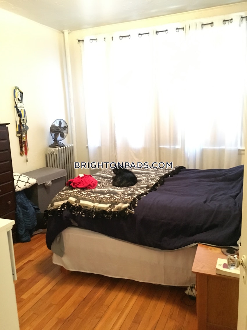 BOSTON - ALLSTON/BRIGHTON BORDER - 1 Bed, 1 Bath - Image 5