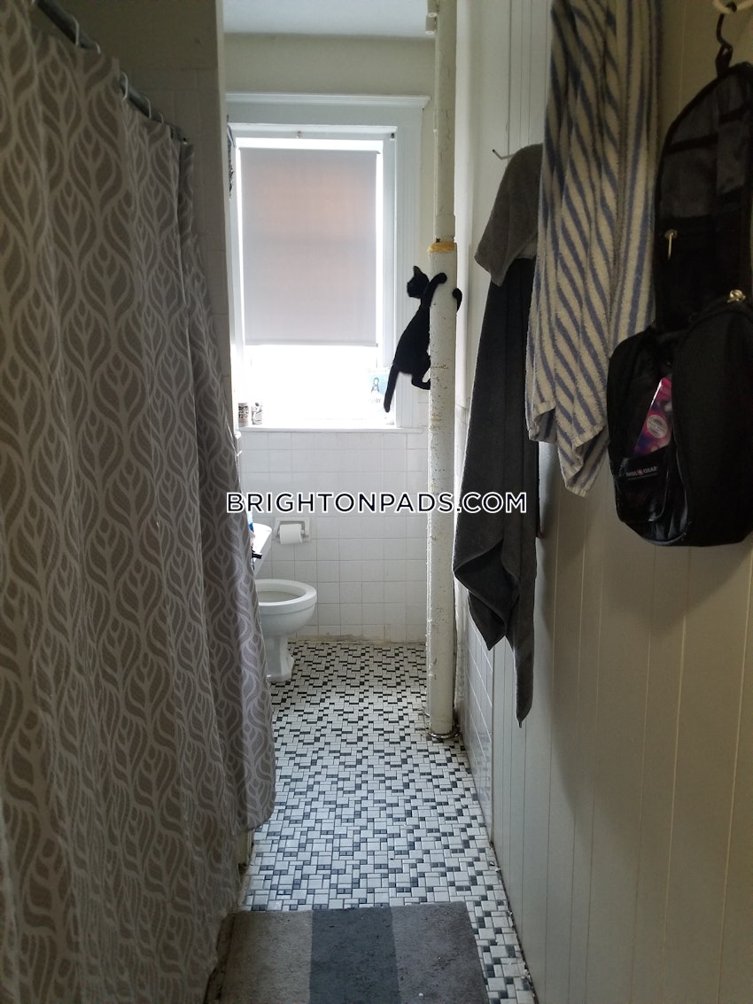 BOSTON - BRIGHTON - CLEVELAND CIRCLE - 2 Beds, 1 Bath - Image 35