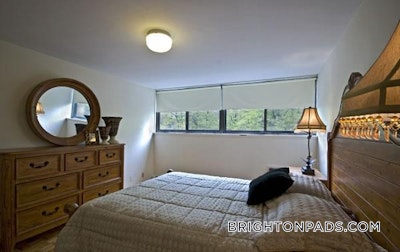 Brighton 2 Bed 1 Bath BOSTON Boston - $2,800