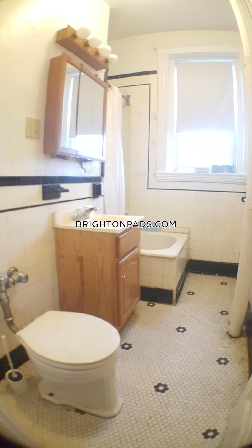 BOSTON - BRIGHTON - CLEVELAND CIRCLE - 1 Bed, 1 Bath - Image 13