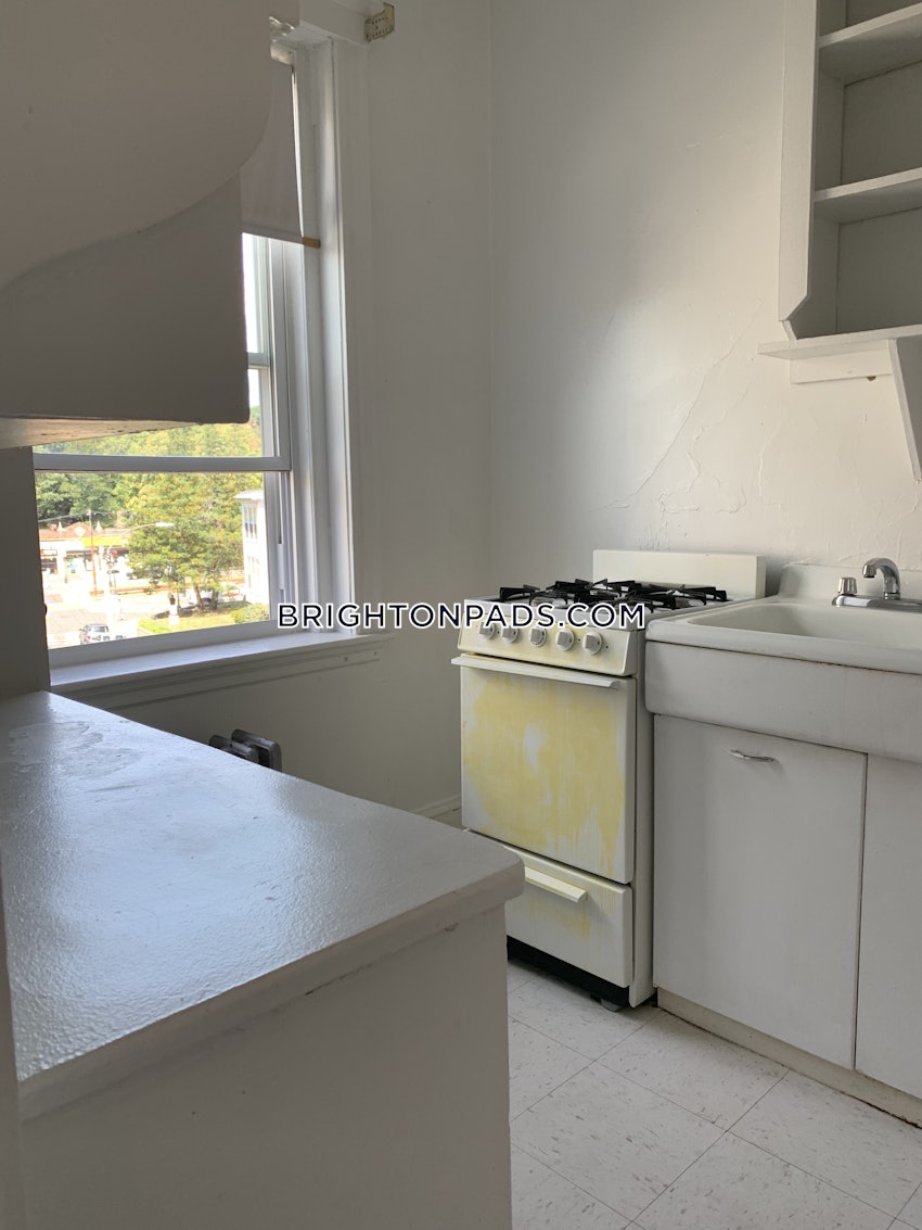 BOSTON - BRIGHTON - CLEVELAND CIRCLE - 2 Beds, 1 Bath - Image 1