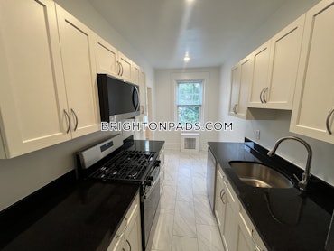 Cleveland Circle - Brighton, Boston, MA - 1 Bed, 1 Bath - $2,560 - ID#4726153