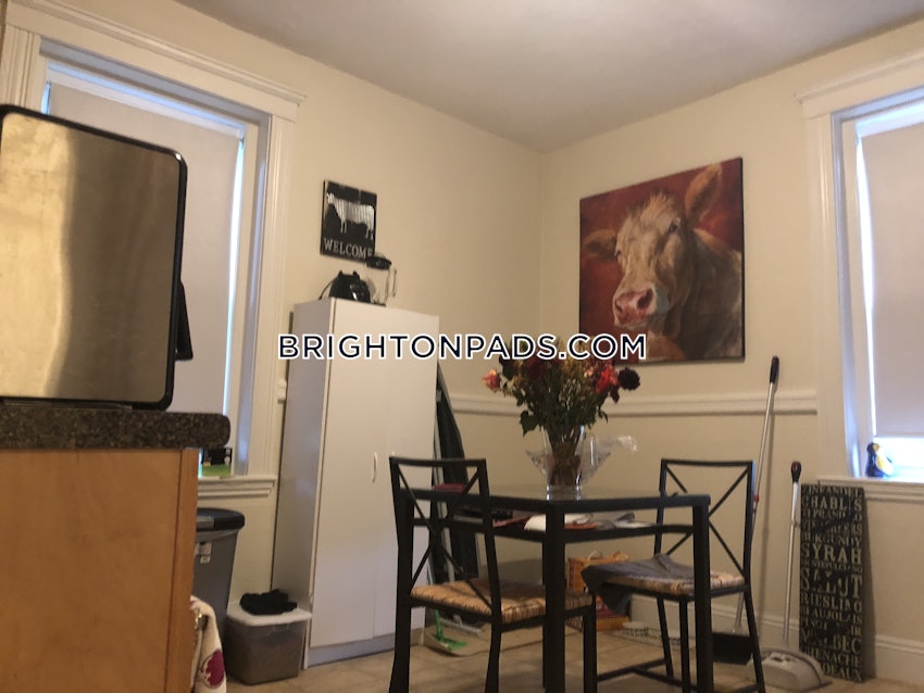 BOSTON - BRIGHTON- WASHINGTON ST./ ALLSTON ST. - 1 Bed, 1 Bath - Image 24