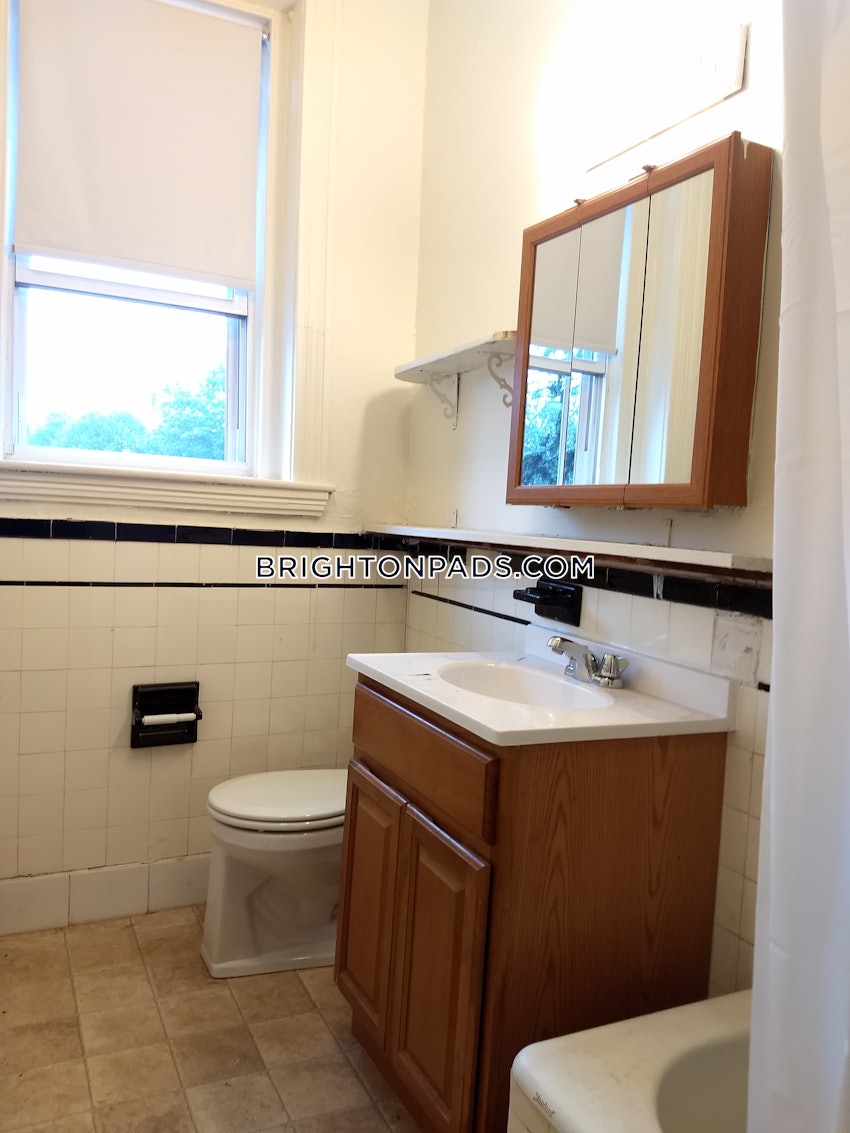 BOSTON - BRIGHTON - CLEVELAND CIRCLE - 3 Beds, 1 Bath - Image 34