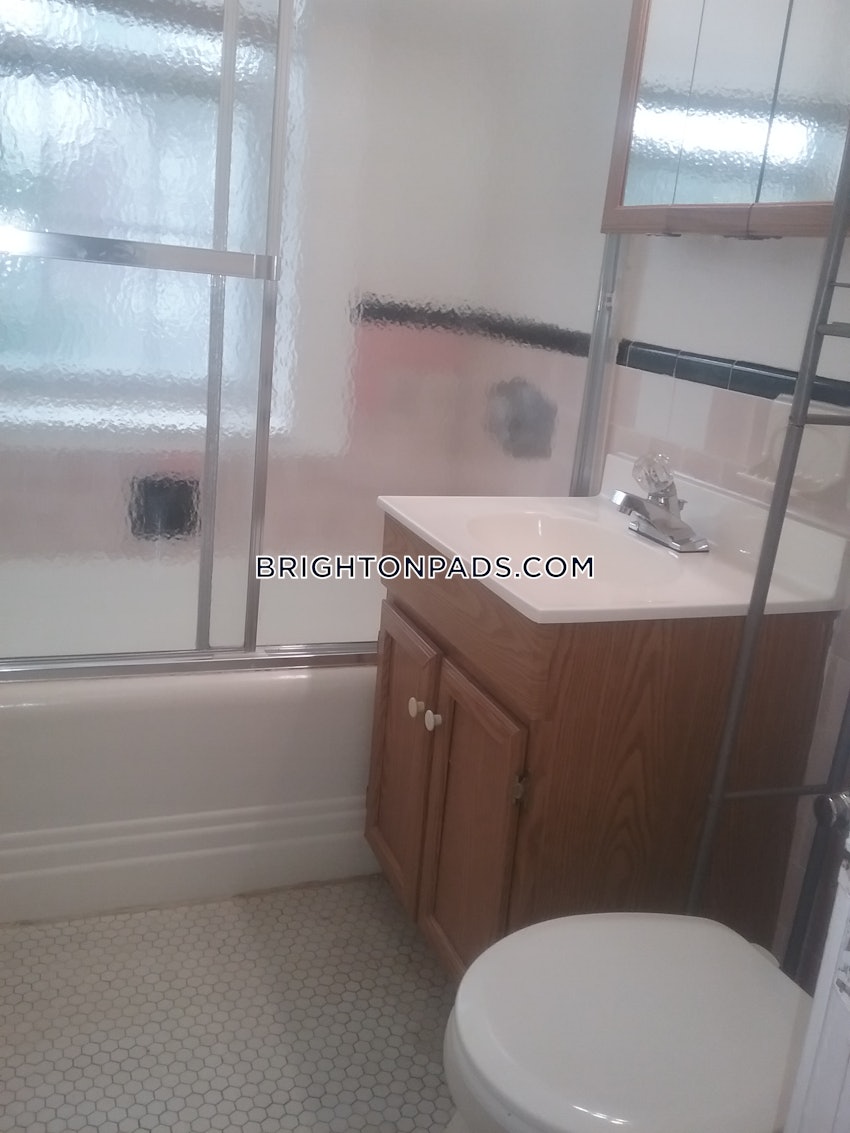 BOSTON - BRIGHTON - BOSTON COLLEGE - 1 Bed, 1 Bath - Image 19