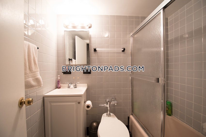 BOSTON - BRIGHTON - CLEVELAND CIRCLE - Studio , 1 Bath - Image 3