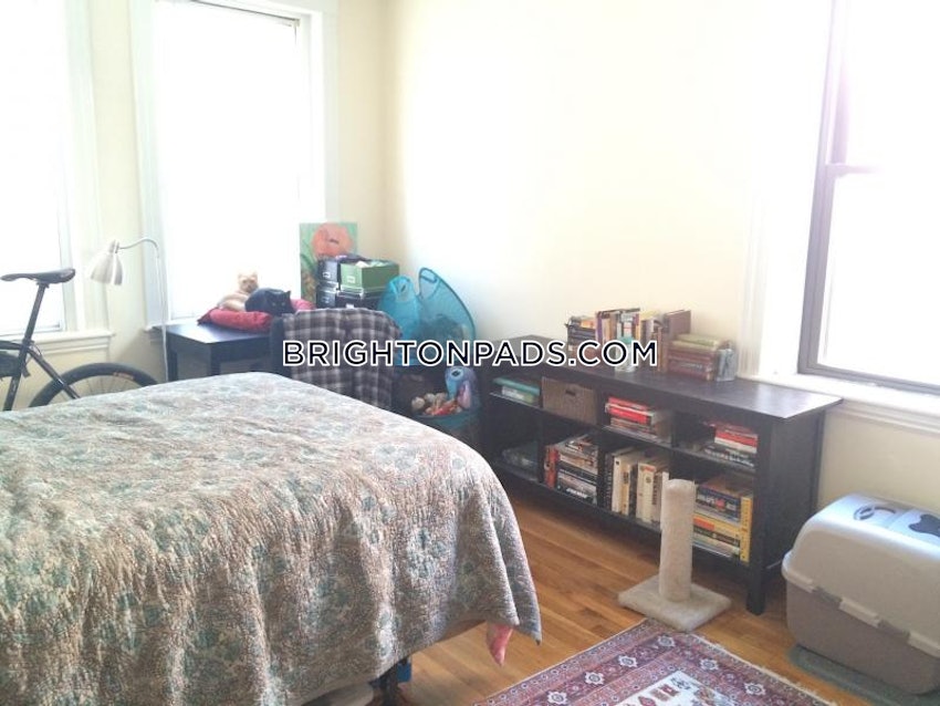 BOSTON - BRIGHTON - CLEVELAND CIRCLE - 1 Bed, 1 Bath - Image 2