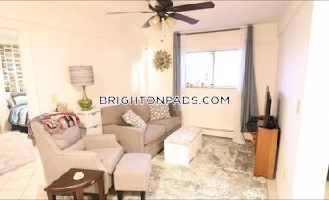 Oak Square - Brighton, Boston, MA - 2 Beds, 1 Bath - $2,500 - ID#4578236