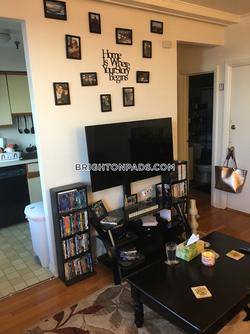 BOSTON - BRIGHTON- WASHINGTON ST./ ALLSTON ST. - 1 Bed, 1 Bath - Image 3