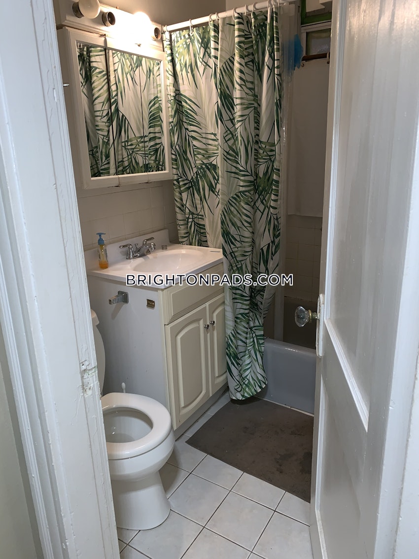 BOSTON - BRIGHTON- WASHINGTON ST./ ALLSTON ST. - 4 Beds, 2 Baths - Image 12