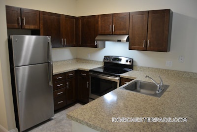 Dorchester Studio 1 Bath Boston - $1,955