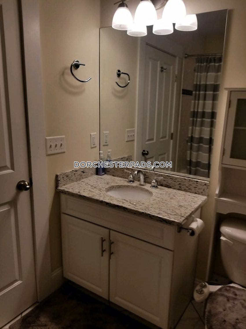 BOSTON - DORCHESTER - UPHAMS CORNER - 2 Beds, 1 Bath - Image 19