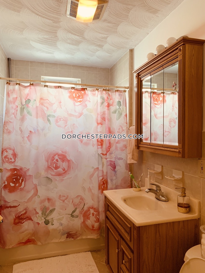 BOSTON - DORCHESTER - UPHAMS CORNER - 3 Beds, 1 Bath - Image 3