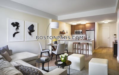 Downtown 1 Bed 1 Bath Boston - $4,260