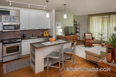 Downtown 1 Bed 1 Bath Boston - $3,800