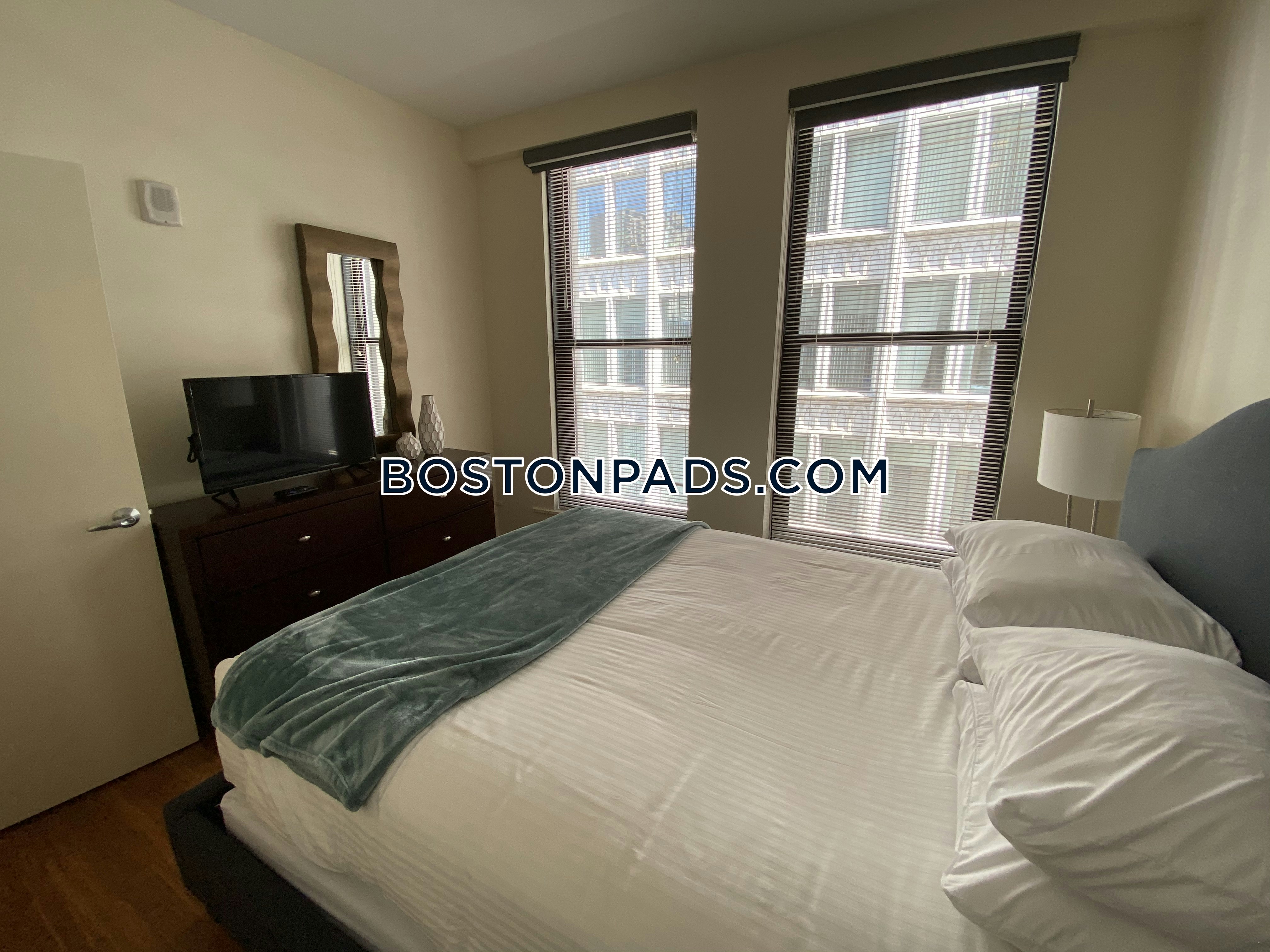 Downtown 1 Bed 1 Bath BOSTON Boston 3,000