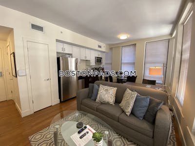 Downtown Apartment for rent 1 Bedroom 1 Bath Boston - $3,000