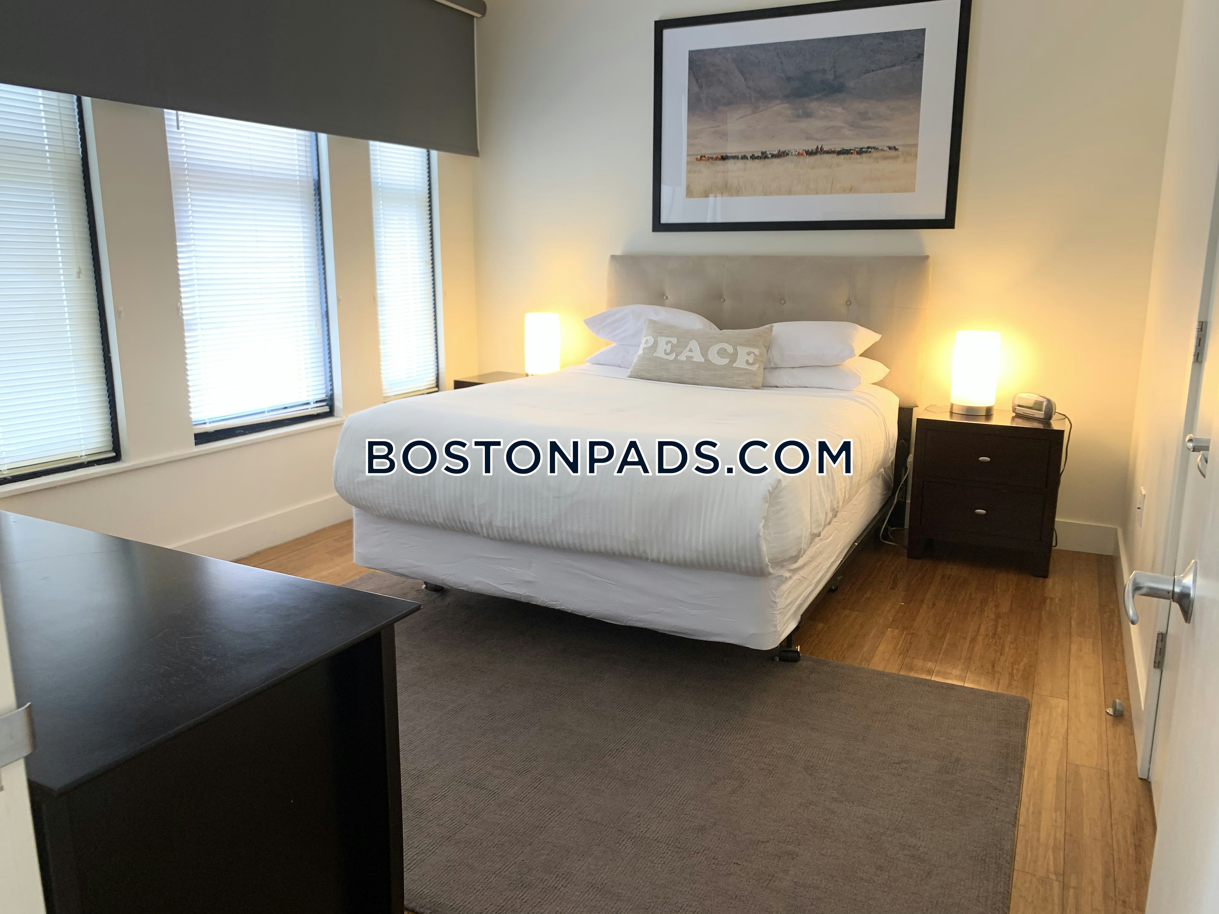 Downtown 1 Bed 1 Bath BOSTON Boston 3,000