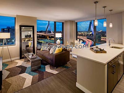 Downtown Apartment for rent 1 Bedroom 1 Bath Boston - $3,855