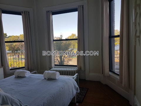 Bay State Rd. Boston photo 20