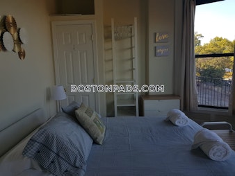 Bay State Rd. Boston