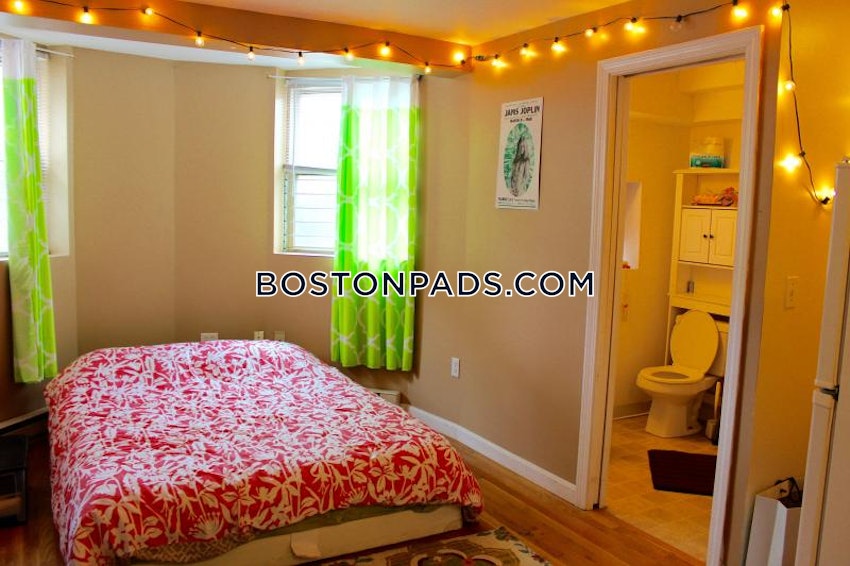 BOSTON - FENWAY/KENMORE - Studio , 1 Bath - Image 3