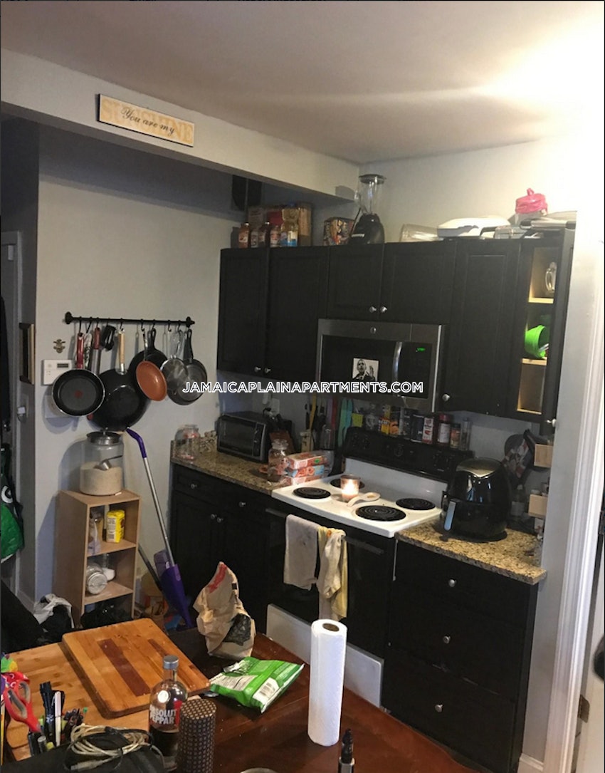 BOSTON - JAMAICA PLAIN - FOREST HILLS - 1 Bed, 1 Bath - Image 7