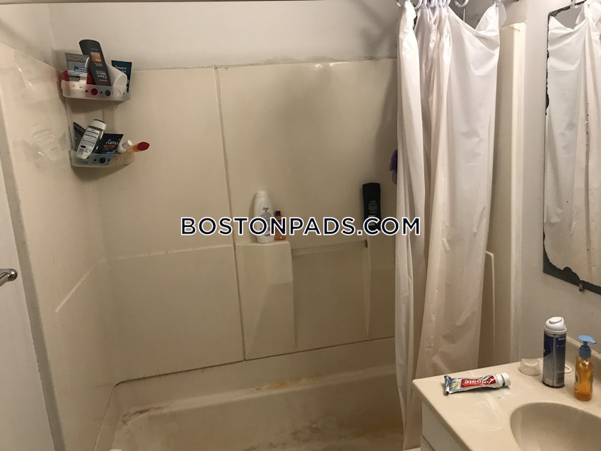 BOSTON - JAMAICA PLAIN - JAMAICA POND/PONDSIDE - 3 Beds, 1 Bath - Image 8