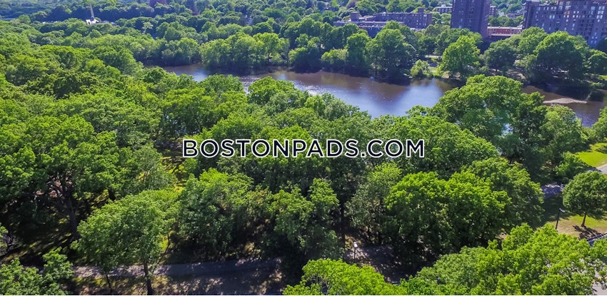 Boston - Mission Hill - 1 Bed, 1 Bath - Image 28