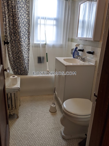 Jamaica Pond/Pondside - Jamaica Plain, Boston, MA - 2 Beds, 1 Bath - $2,500 - ID#4558079