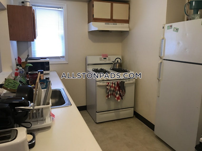 BOSTON - LOWER ALLSTON - 1 Bed, 1 Bath - Image 25