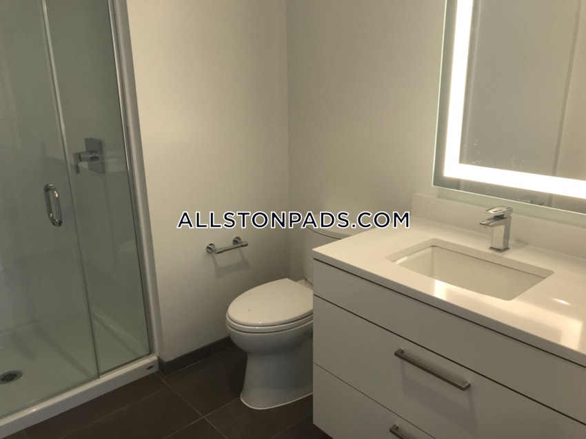 BOSTON - LOWER ALLSTON - 2 Beds, 2 Baths - Image 30