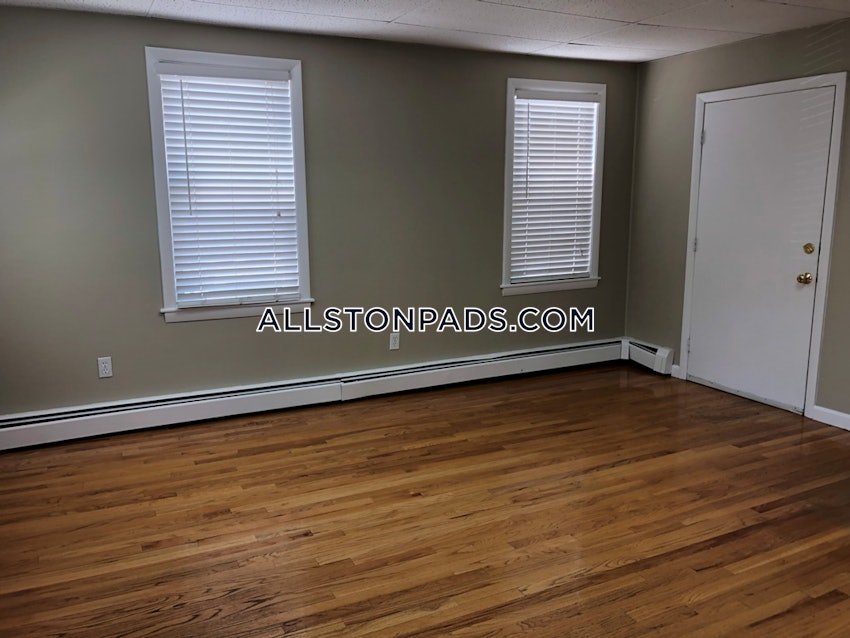 BOSTON - LOWER ALLSTON - 1 Bed, 1 Bath - Image 4